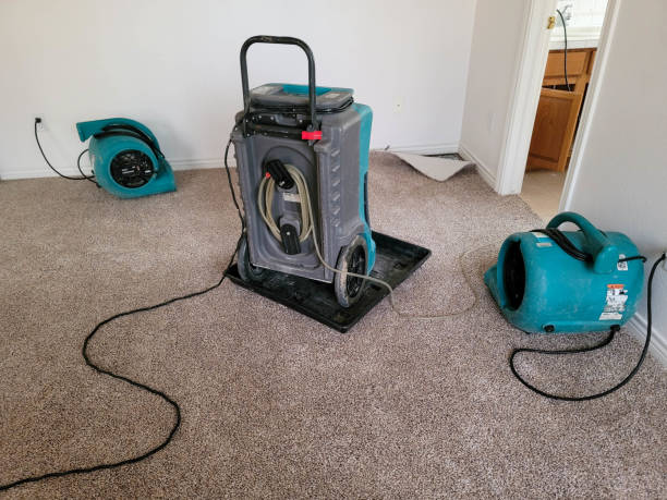 Best Water damage cleanup near me  in Dry Ridge, KY