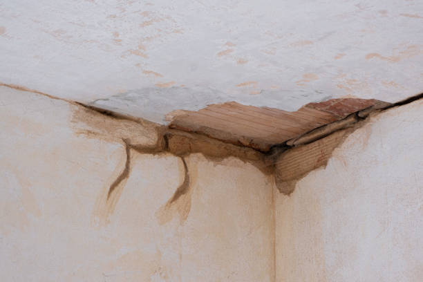 Best Flood damage cleanup  in Dry Ridge, KY