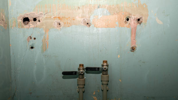 Best Carpet water damage restoration  in Dry Ridge, KY
