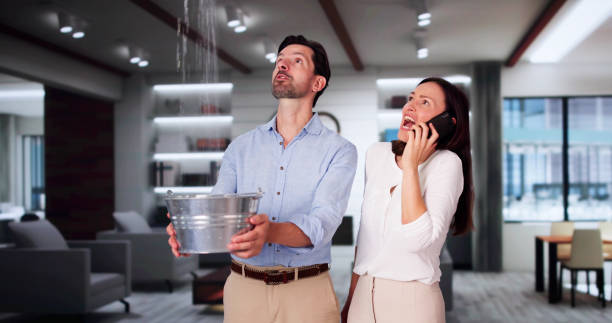 Best Sewage cleanup and water damage restoration  in Dry Ridge, KY