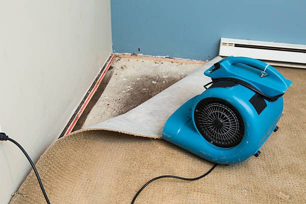Water damage restoration experts in KY